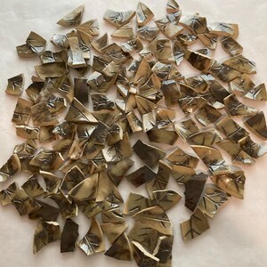 May include: A collection of numerous small, irregular ceramic shards in shades of tan, beige, and dark brown. Each piece features a glossy finish and a distinct, dark, leaf-like vein pattern imprinted on the surface, creating a textured appearance.