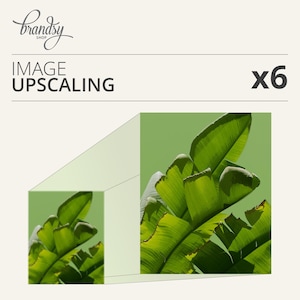 以下が含まれることがあります： 鮮やかな緑色のバナナの葉のクローズアップ画像。葉の質感が詳細に表現されています。「Image Upscaling」と表示され、6倍の解像度向上を示しています。Brandyshopのロゴが左上に表示されています。