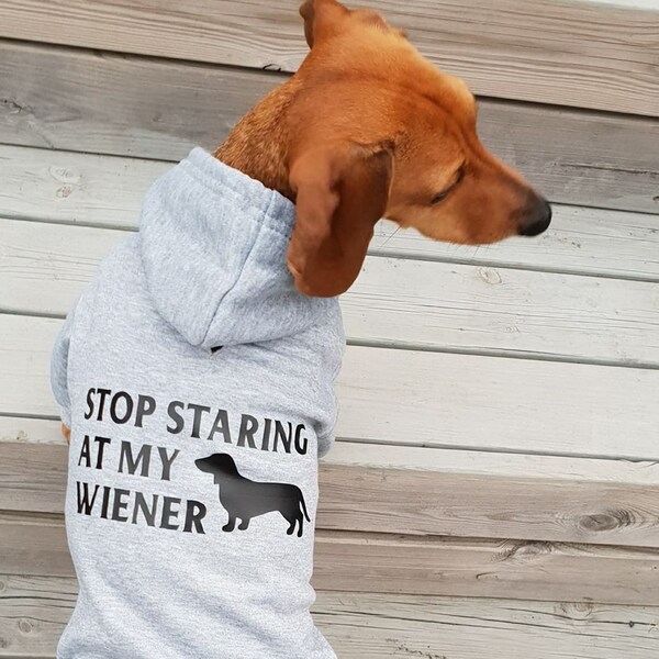 Dachshund Sweaters Etsy