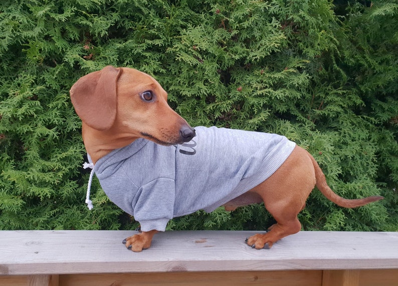 Low Rider Dachshund Sweater Dachshund Clothes Dachshund Etsy