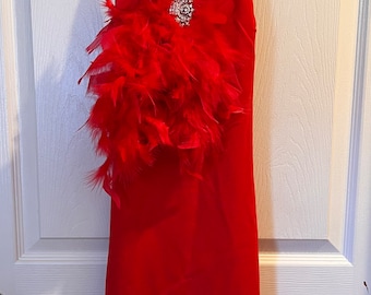 Small red dress with feathers