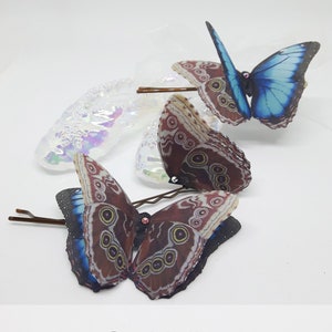 Butterfly Hair Clips, Juego de 3 diapositivas de pelo de mariposa. Lindo diseño de accesorio de cabello de mariposa marrón y azul para fiesta, baile de graduación, cosplay y regalo.