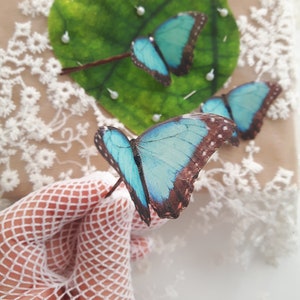 Butterfly Hair Clips. Butterfly Hair Accessories perfect for Parties, Special Occasions. Turquoise Butterfly Gifts. Fresh Collection.