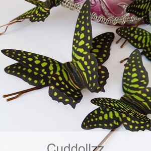 May include: Four green and black butterfly hair clips with gold wire accents. The butterflies have a spotted pattern. The text "Cuddollzz Silk Butterfly Accessories" is at the bottom of the image.