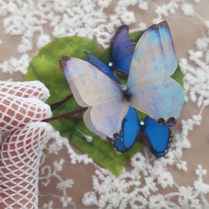 Butterfly Hair Pins with Swarovski Crystal. Set of 6 Blue Butterfly Hair slides. Perfect for Special Occasions or as a gift. Something Blue. image 8