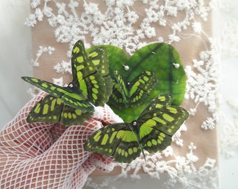 Chartreuse Butterfly Hair Clips with Swarovski crystals. Magical Butterfly Hair Accessories perfect for Parties, Special Occasions.