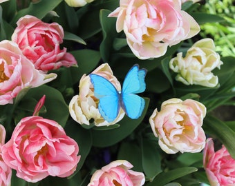 Single Turquoise Silk Butterfly Hair Clip. Beautiful butterfly hair pin with Swarovski crystal.  Perfect as a gift for someone Special.