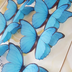 Butterfly brooch. Morpho Blue Silk Butterflies. Beautiful Brooch Gift. Brooch for Special Occasions.