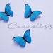 see more listings in the Butterfly Brooches section