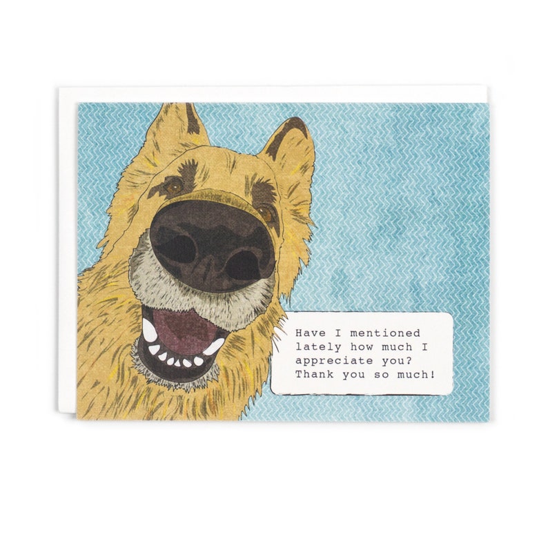 Funny Dog Boxed Thankyou Cards  Etsy