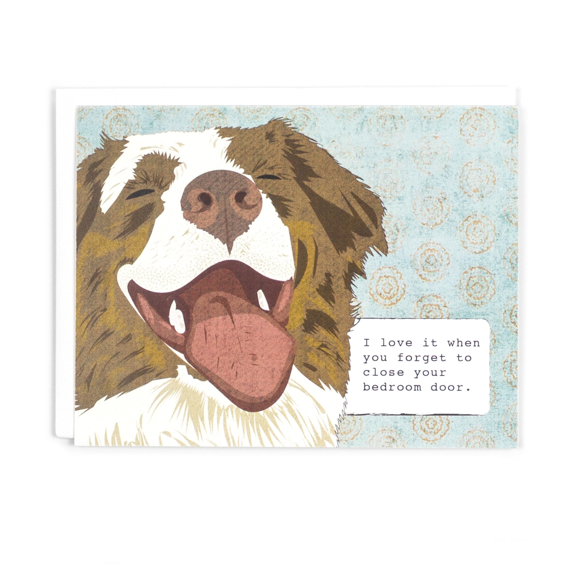 Why Does My Dog Like Dirty Laundry