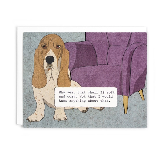 Should Dogs Be Allowed On Furniture