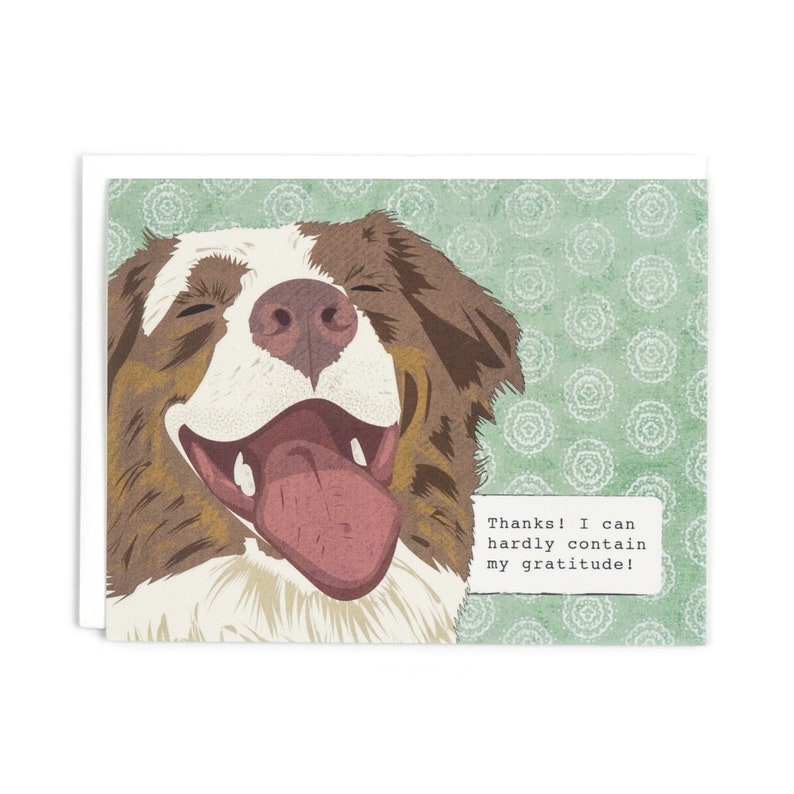 Funny Dog Boxed Thank you Cards Etsy