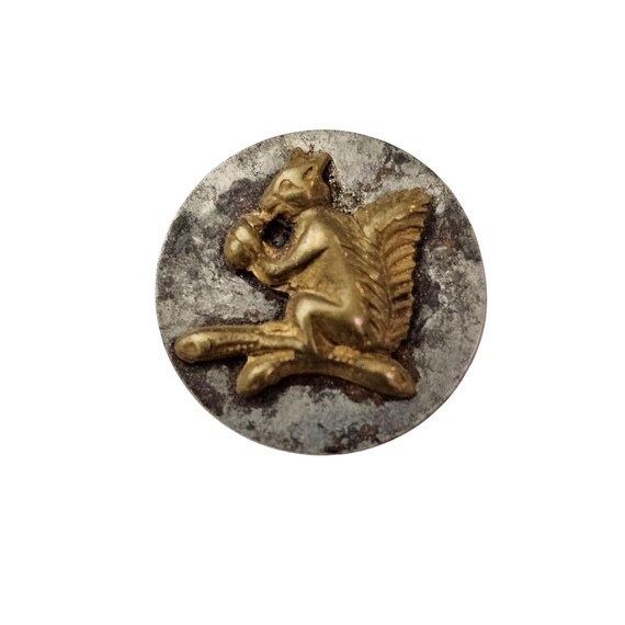 Antique Steel Brass Squirrel Button J934