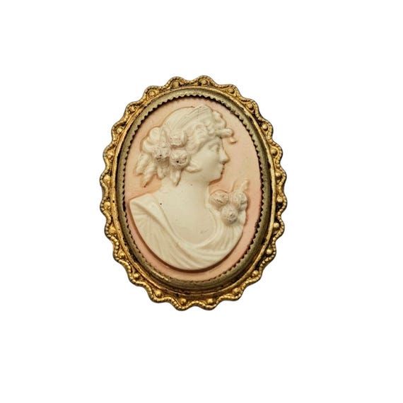 Pink Celluloid Plastic Cameo Pin, C Clasp L562