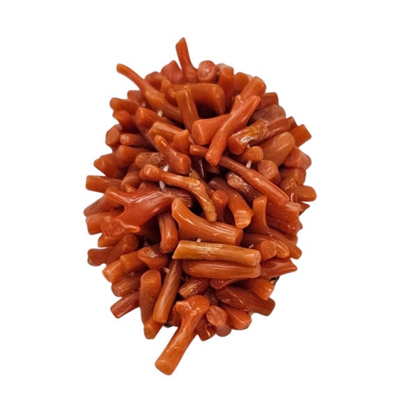 Vintage Coral Dress Clip L614