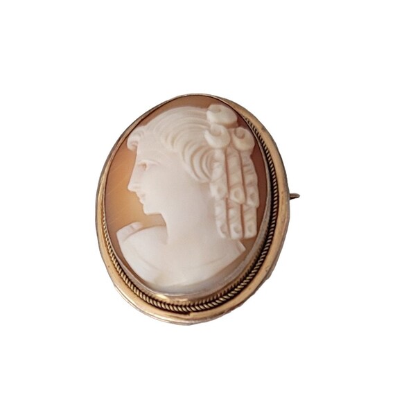 800 Silver, Vermeil Lady's Profile Left Facing Carved Cameo Brooch