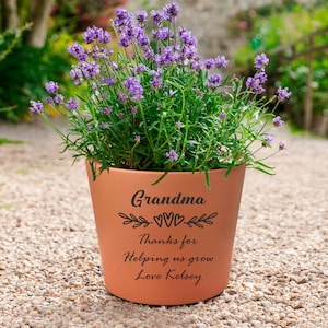 May include: Terracotta flower pot with a personalised message that reads "Grandma Thanks for Helping us grow Love Kelsey". The pot is filled with lavender plants.