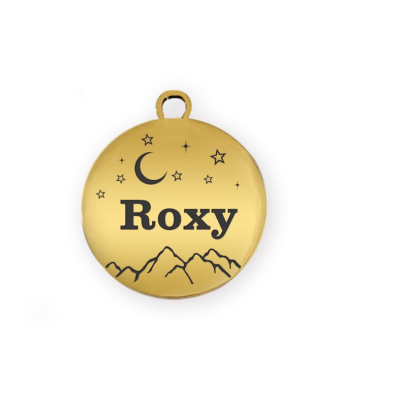 Puede incluir: Una placa redonda dorada para mascotas con el nombre "Roxy" en letras negras en negrita. La placa presenta un dise&ntilde;o de luna creciente, estrellas y cordillera. Tiene un peque&ntilde;o lazo en la parte superior para sujetarla.