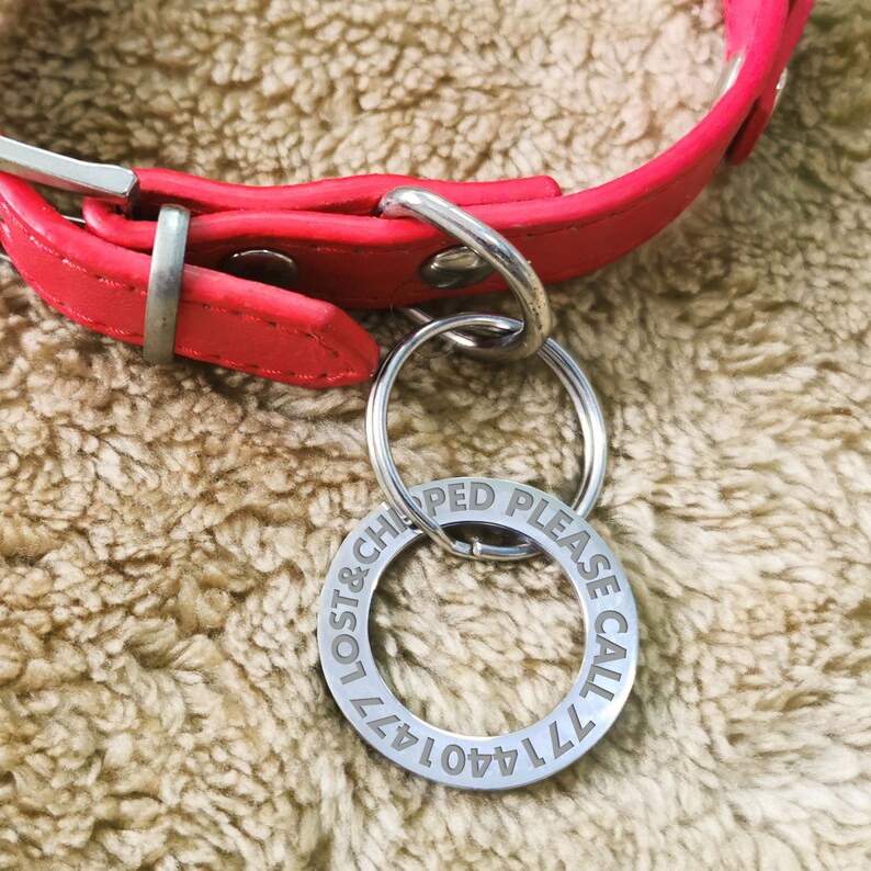 Dog Tag for Pets Puppy Cat Personalised Hollow Tag for Dogs Etsy UK