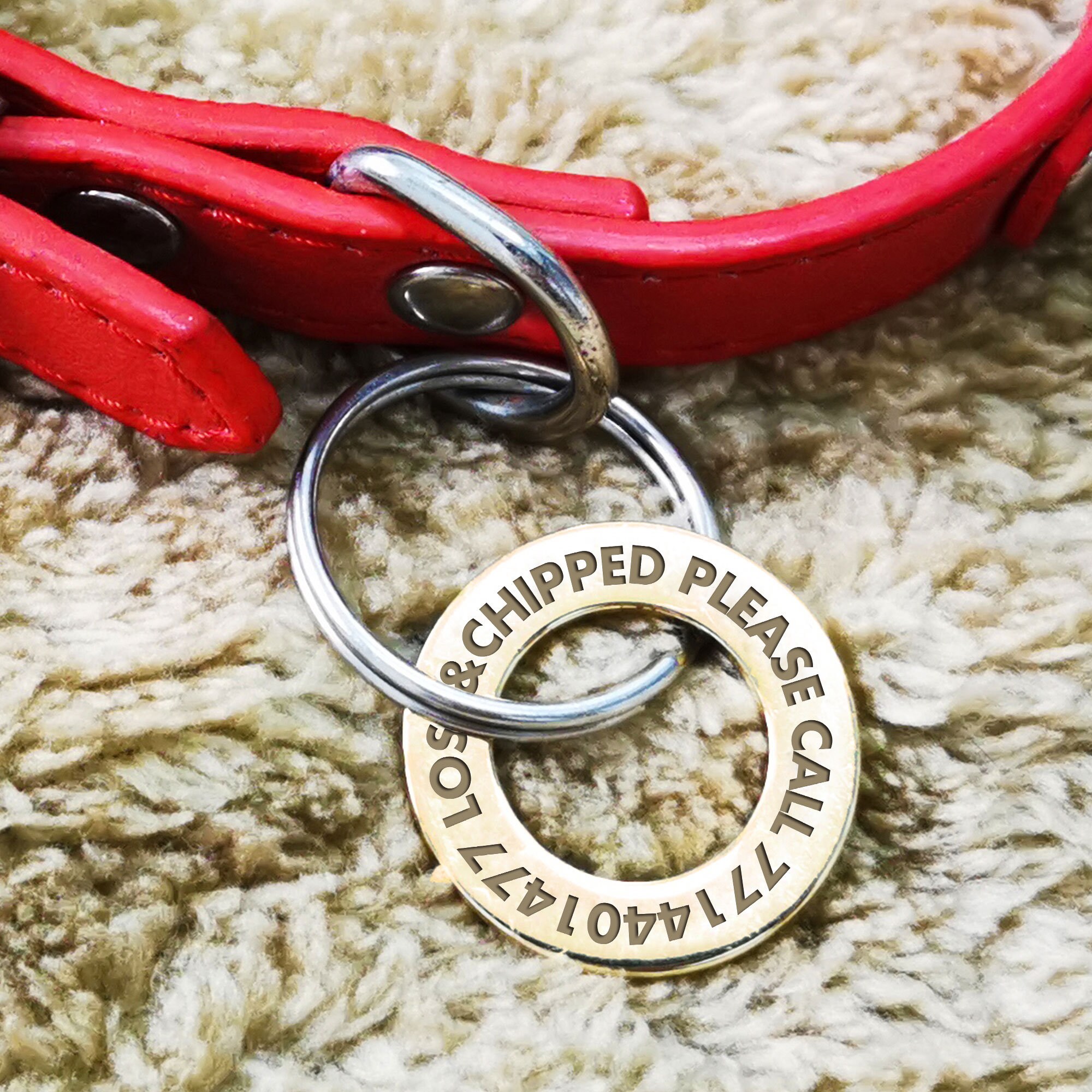 Dog Tag for Pets Puppy Cat Personalised Hollow Tag for Dogs Etsy UK