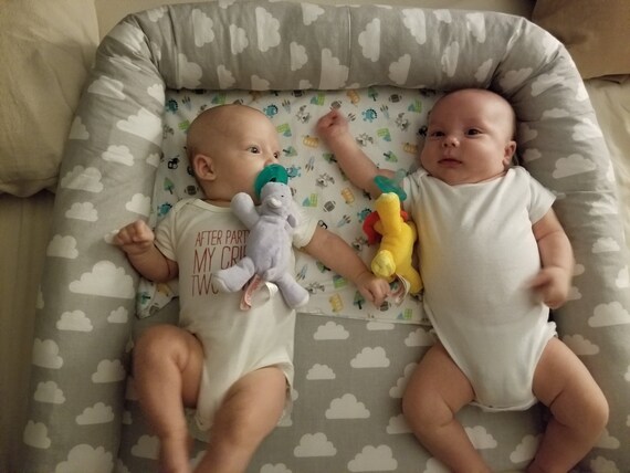baby nest for twins