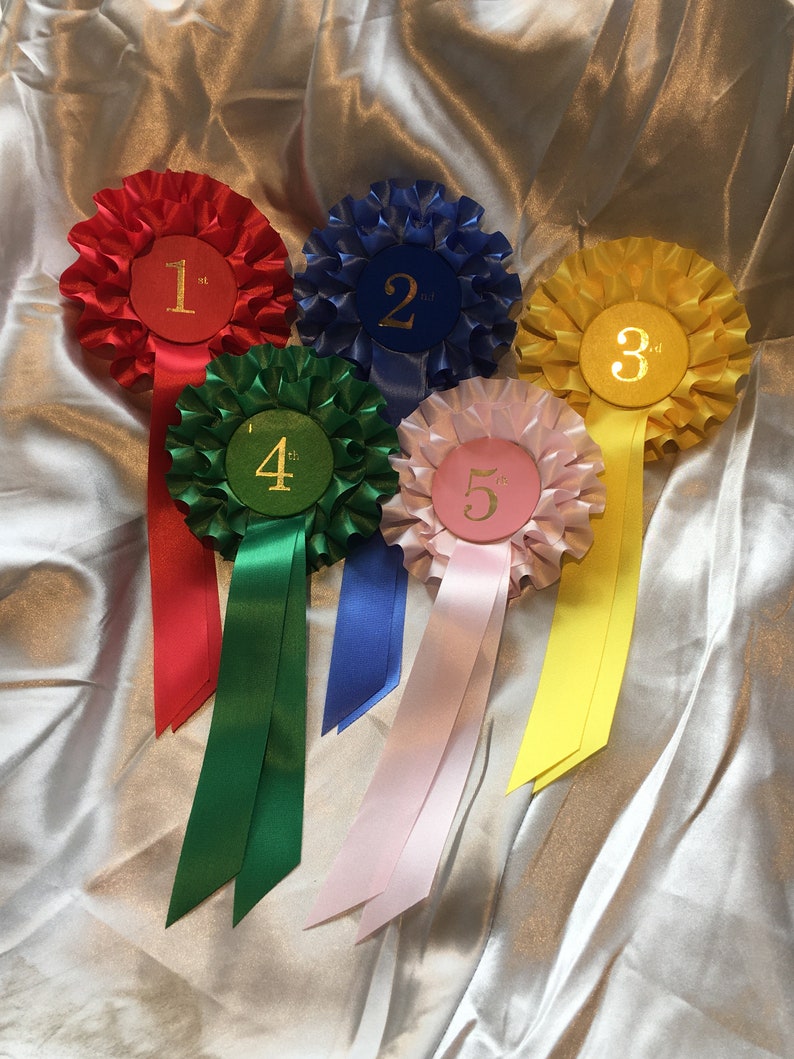 1st to  5th place Ribbon award Fundraisers prize set Awards 2 tier budget rosettes