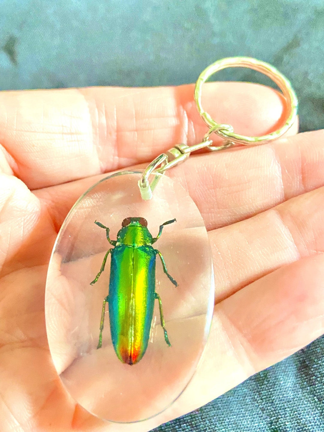 Real Jewel Beetle Key Ring. Real Insect Embedded in a Resin.key Fob ...