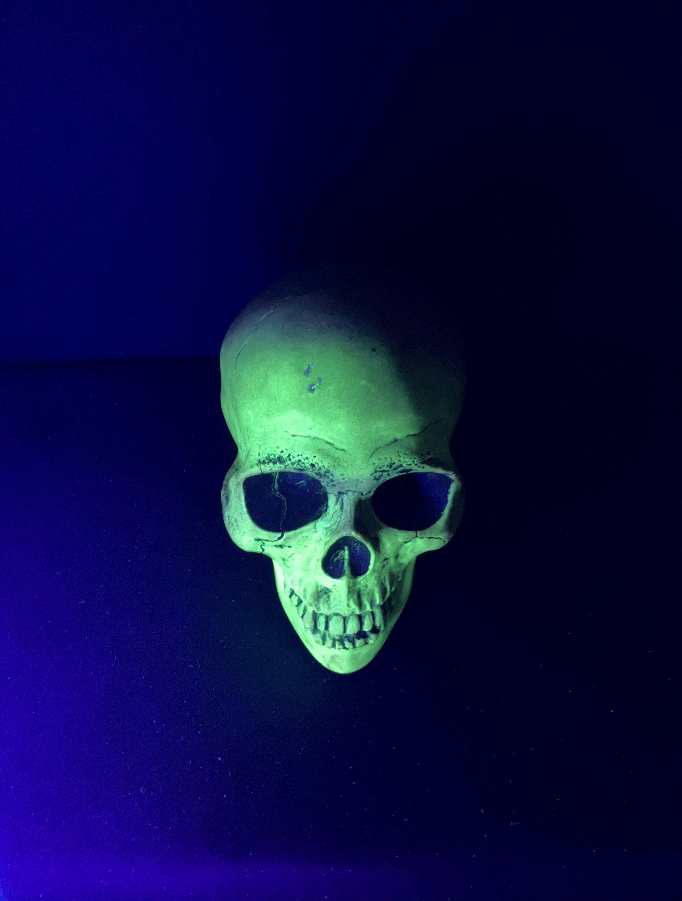 randotti skull 2体 セット 60s 70s スカル 髑髏 50s - メルカリ