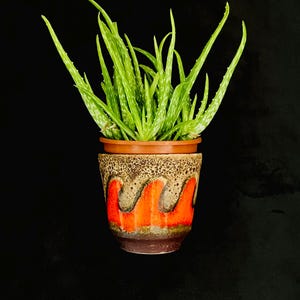 May include: A vibrant green aloe vera plant with long, pointed, speckled leaves potted in a ceramic planter. The planter features a textured, speckled brown upper rim, a bold, wavy orange band in the centre, and a solid dark brown base.