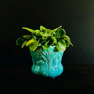 May include: A vibrant turquoise ceramic planter featuring a detailed, raised relief pattern of stylised leaves covering its exterior. The planter is filled with a lush, green Peperomia plant with rounded, fleshy leaves that spill over the top rim.