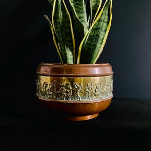 May include: A round copper planter featuring a wide central brass band embossed with a continuous relief of figures playing musical instruments. A tall snake plant with green and yellow variegated leaves grows from the top of the container.