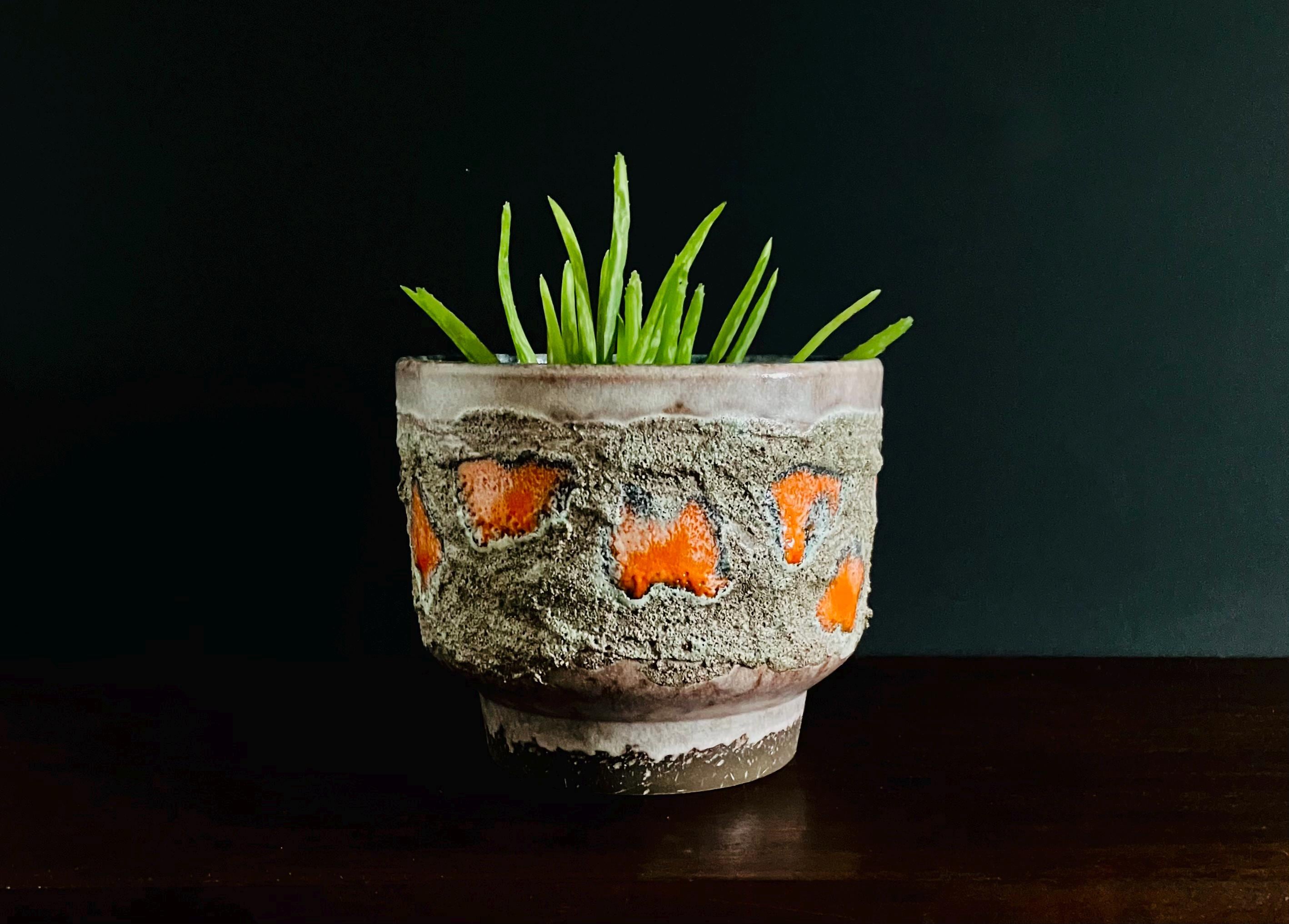 Fat lava planter - Etsy 日本
