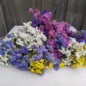 Dried statice mix, dried limonium, dried statice bouquet