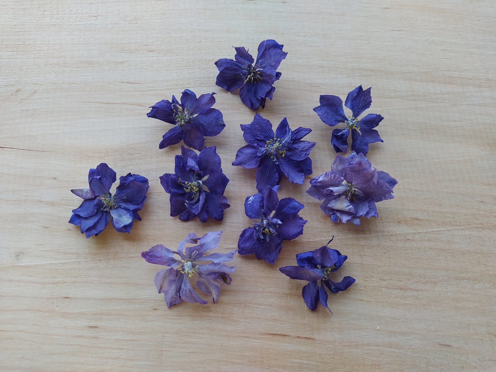 Purple larkspur Dried larkspur dried flowers for crafts Etsy