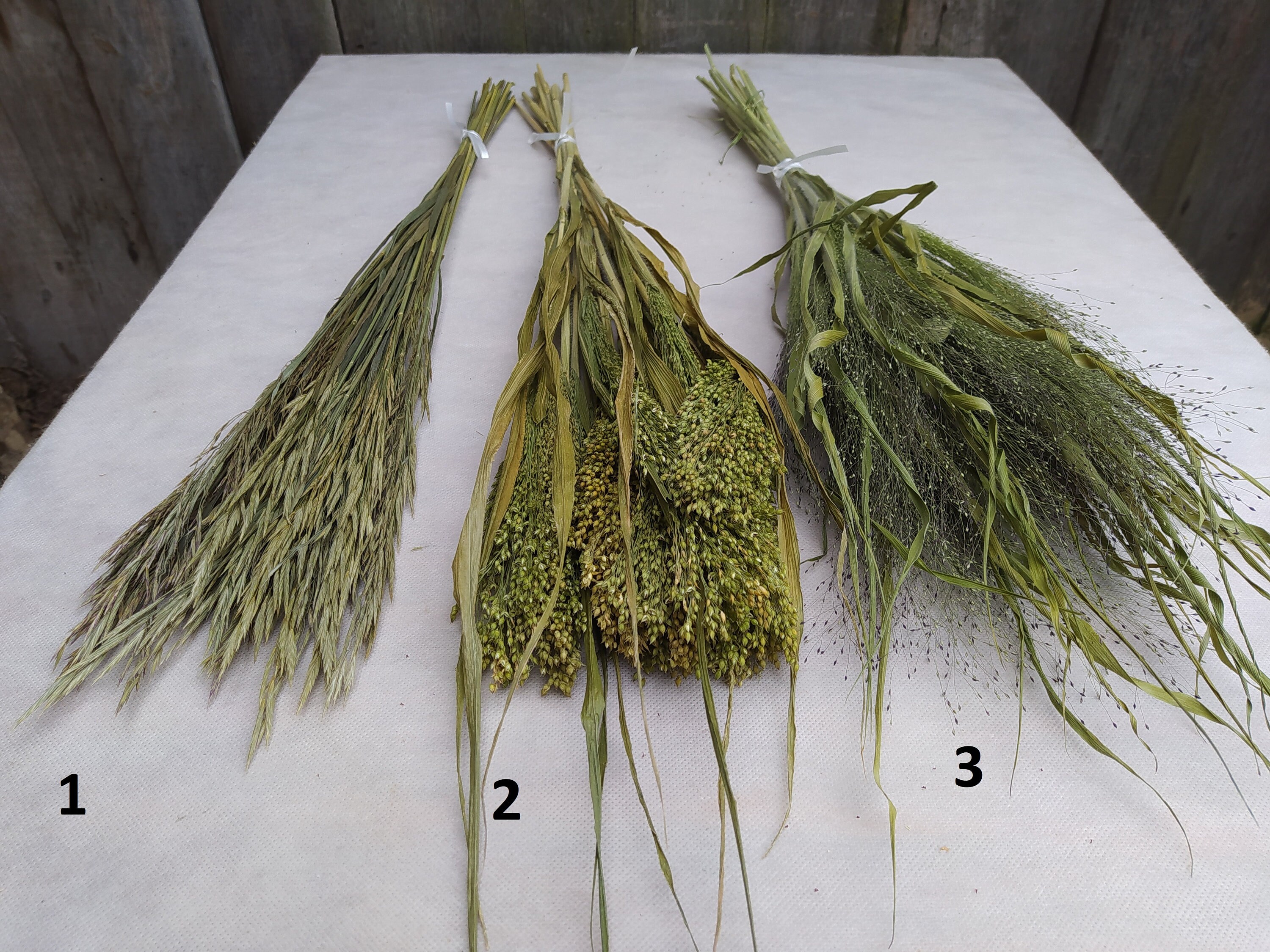 Dried grass bundle Long stem grass Wild grass bundle Dried Etsy