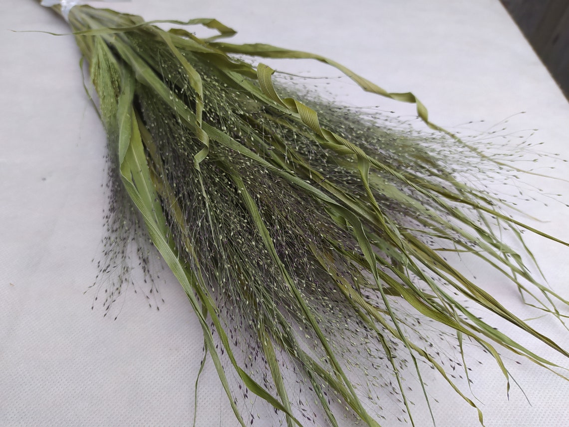 Dried grass bundle Long stem grass Wild grass bundle Dried Etsy