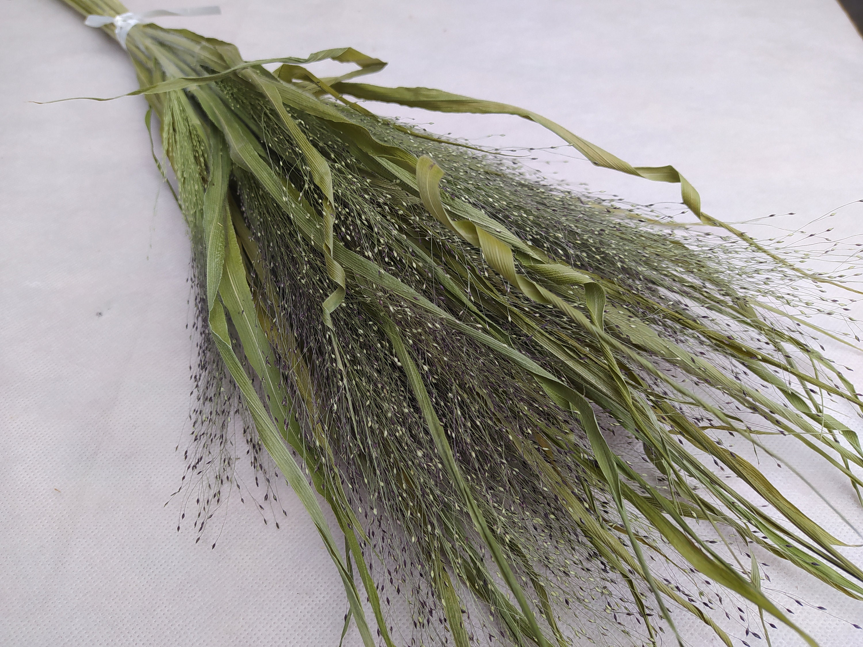 Dried grass bundle Long stem grass Wild grass bundle Dried Etsy
