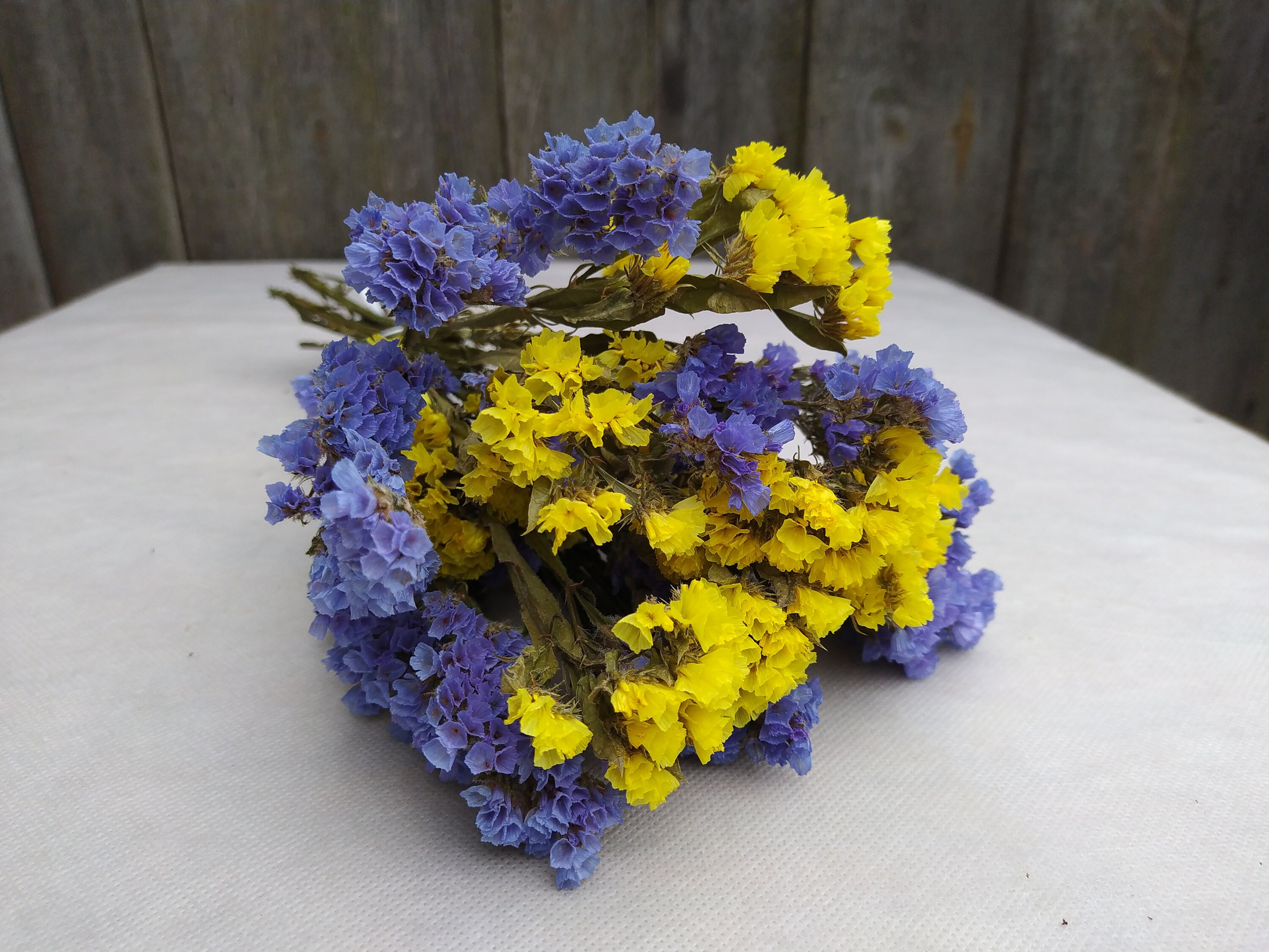Dried Statice Blue and Yellow Mix Dried Limonium Dried Etsy