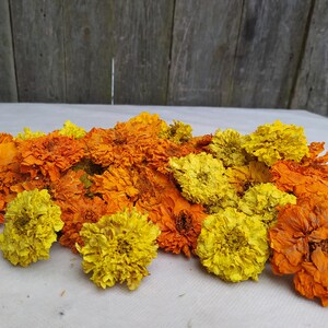 Peut inclure: Un tas de fleurs de souci s&eacute;ch&eacute;es dans des tons d'orange et de jaune. Les fleurs sont dispos&eacute;es en un groupe l&acirc;che et naturel.