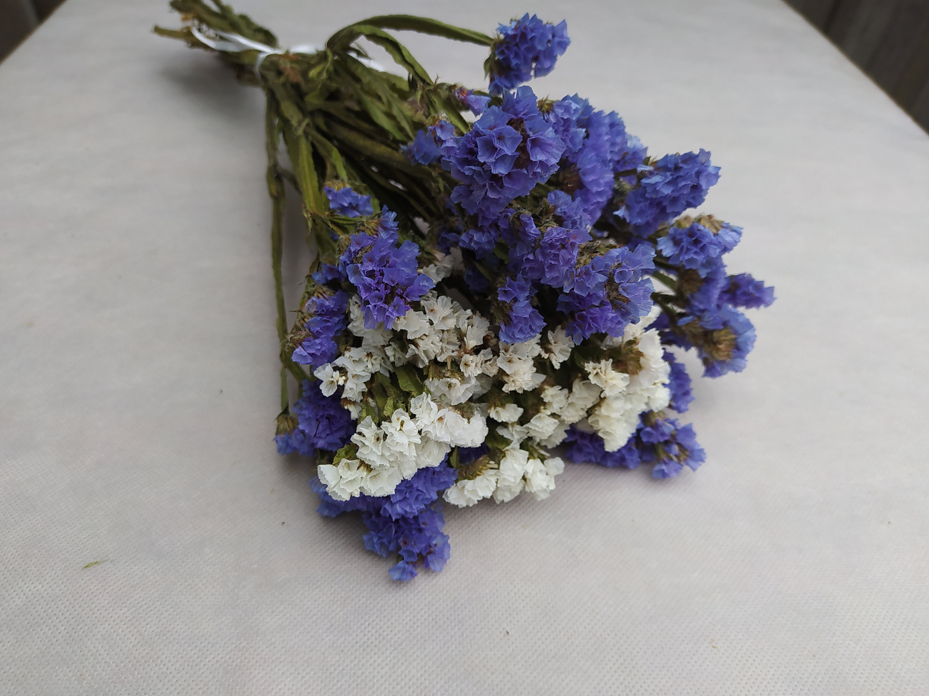 Dried statice blue and white dried limonium dried statice Etsy