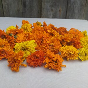 Peut inclure: Un tas de fleurs de souci s&eacute;ch&eacute;es dans des tons d'orange et de jaune. Les fleurs sont dispos&eacute;es en un groupe l&acirc;che sur une surface blanche.