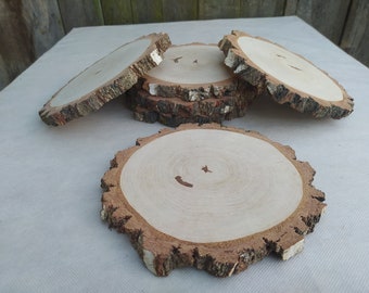 Birch Wood slices, Set of 6 wood slices, 8"-9" slices