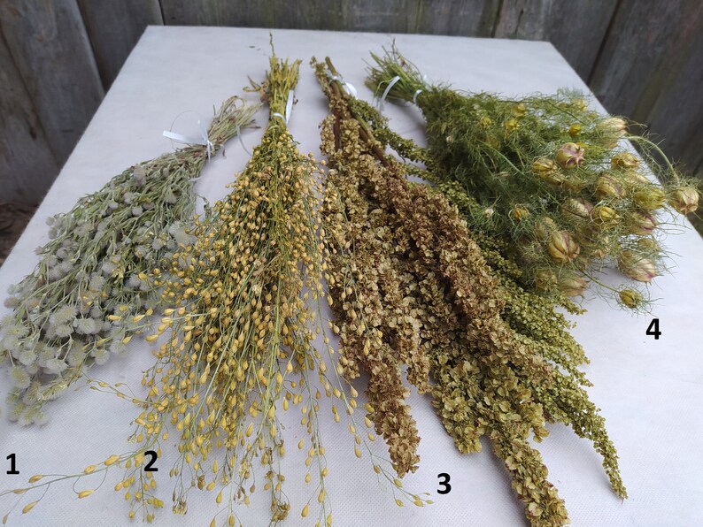 Dried grass bundle Long stem grass Wild grass bundle Dried Etsy
