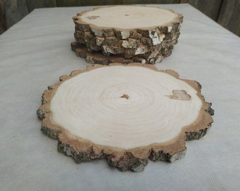 Birch Wood slices, Set of 6 wood slices, 8.5"-10" slices