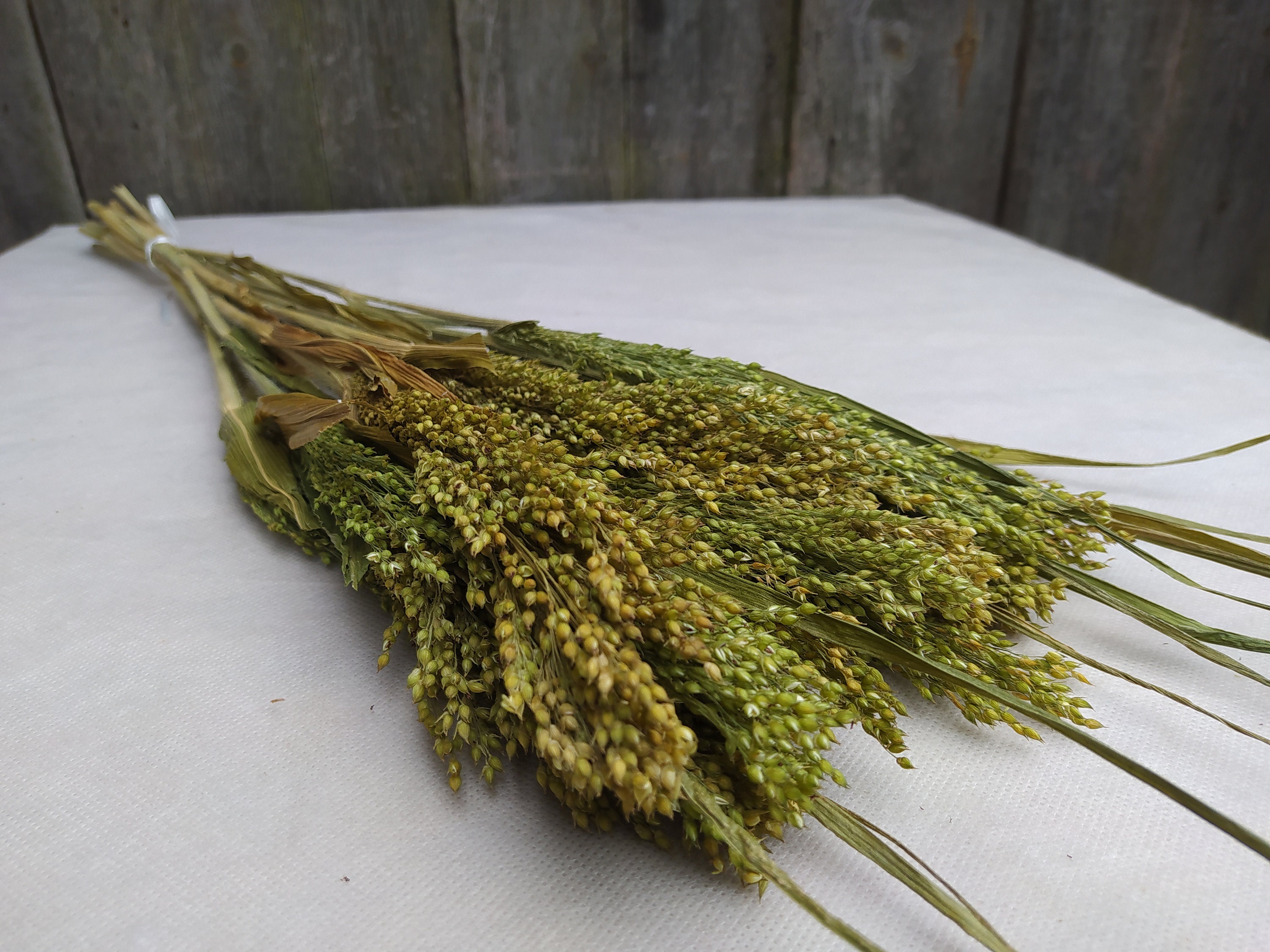 Dried grass bundle Long stem grass Wild grass bundle Dried Etsy
