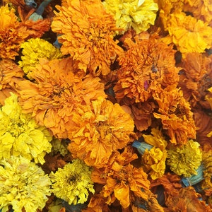 Peut inclure: Une collection de fleurs de souci s&eacute;ch&eacute;es dans des tons d'orange et de jaune. Les fleurs sont dispos&eacute;es dans un panier et sont pr&ecirc;tes &agrave; &ecirc;tre utilis&eacute;es pour l'artisanat ou la d&eacute;coration.