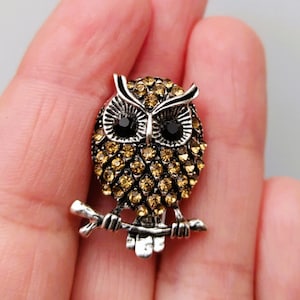 Small Owl  Brooch, Bird brooch pin, Rhinestone owl broach, Witchy decor aesthetic