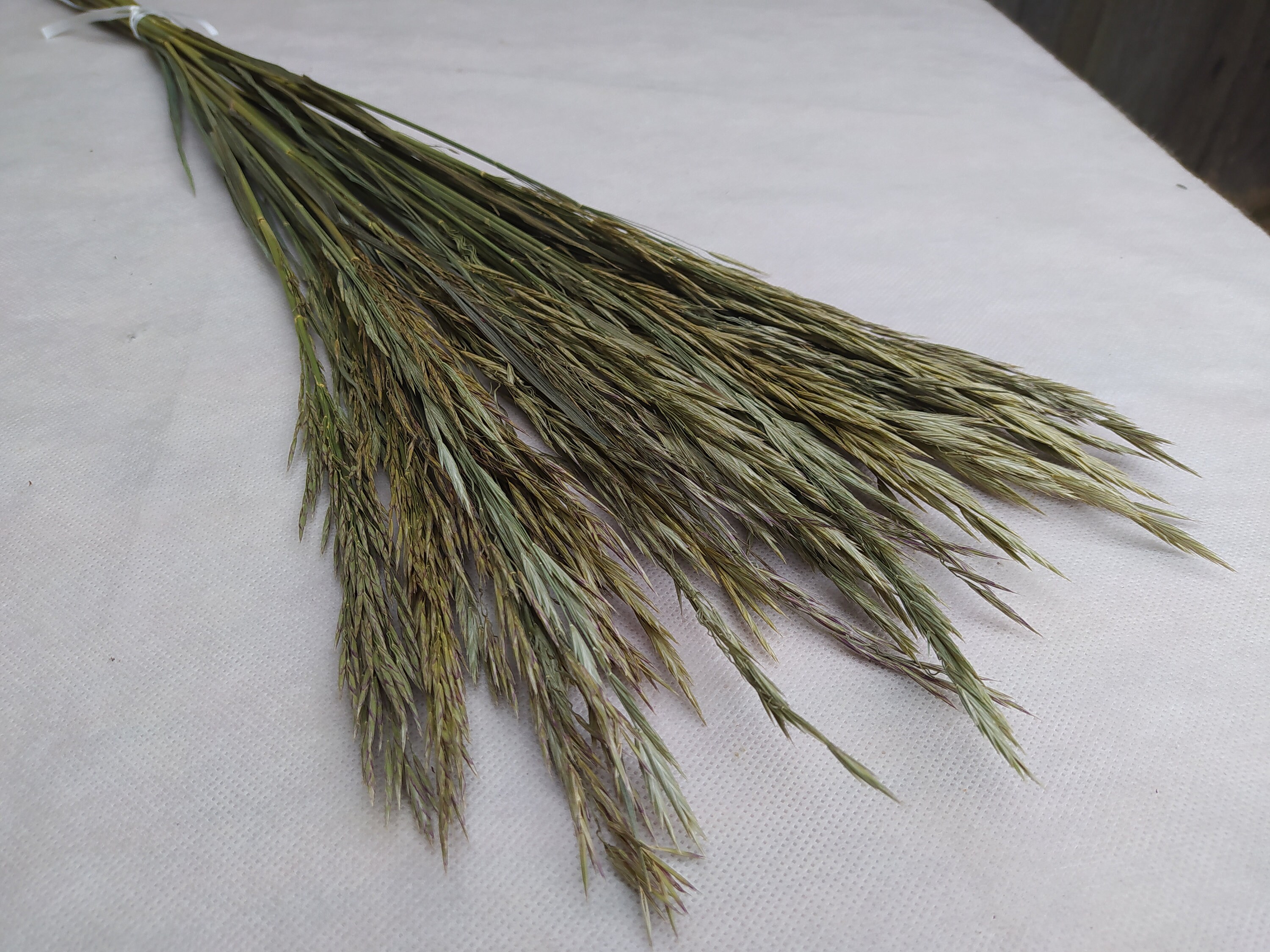 Dried grass bundle Long stem grass Wild grass bundle Dried Etsy
