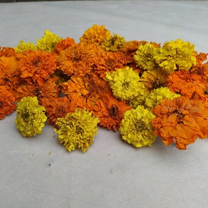 Peut inclure: Une collection de fleurs de souci s&eacute;ch&eacute;es dans des tons d'orange et de jaune. Les fleurs sont dispos&eacute;es en un tas l&acirc;che, avec quelques p&eacute;tales qui se chevauchent.